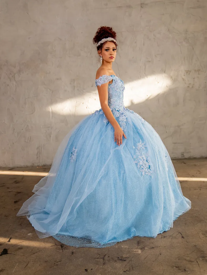 3D Floral Off Shoulder Glitter Ball Gown by Calla KY73112