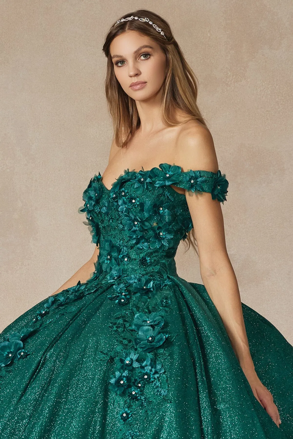 3D Floral Off Shoulder Glitter Ball Gown by Juliet 1433