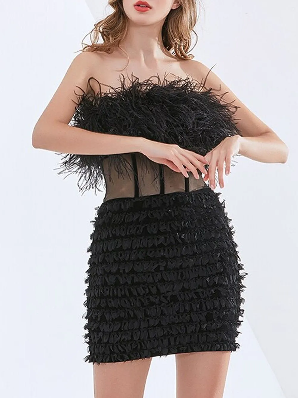 CIERA Feathers Dress