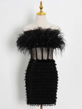 CIERA Feathers Dress