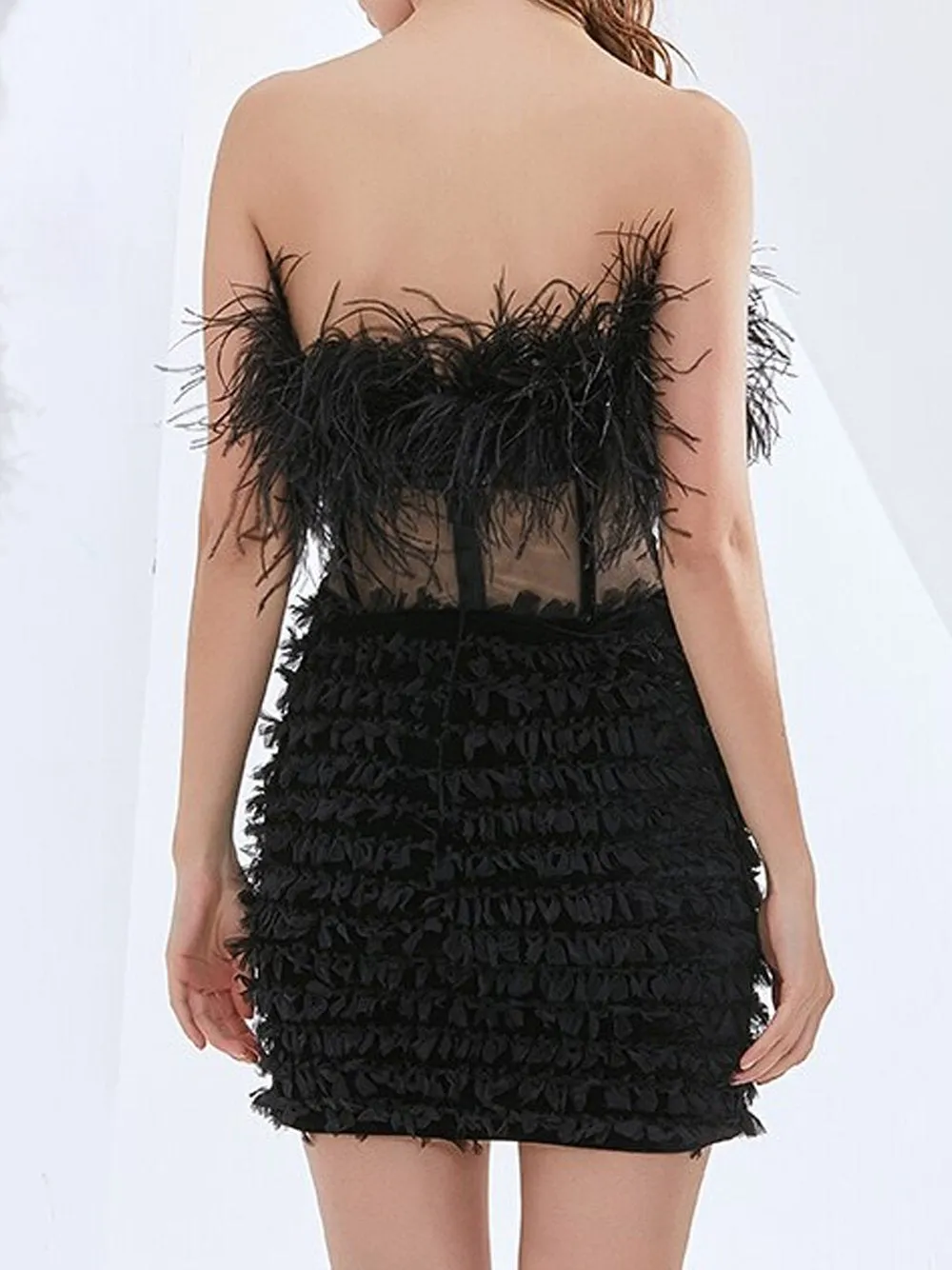 CIERA Feathers Dress