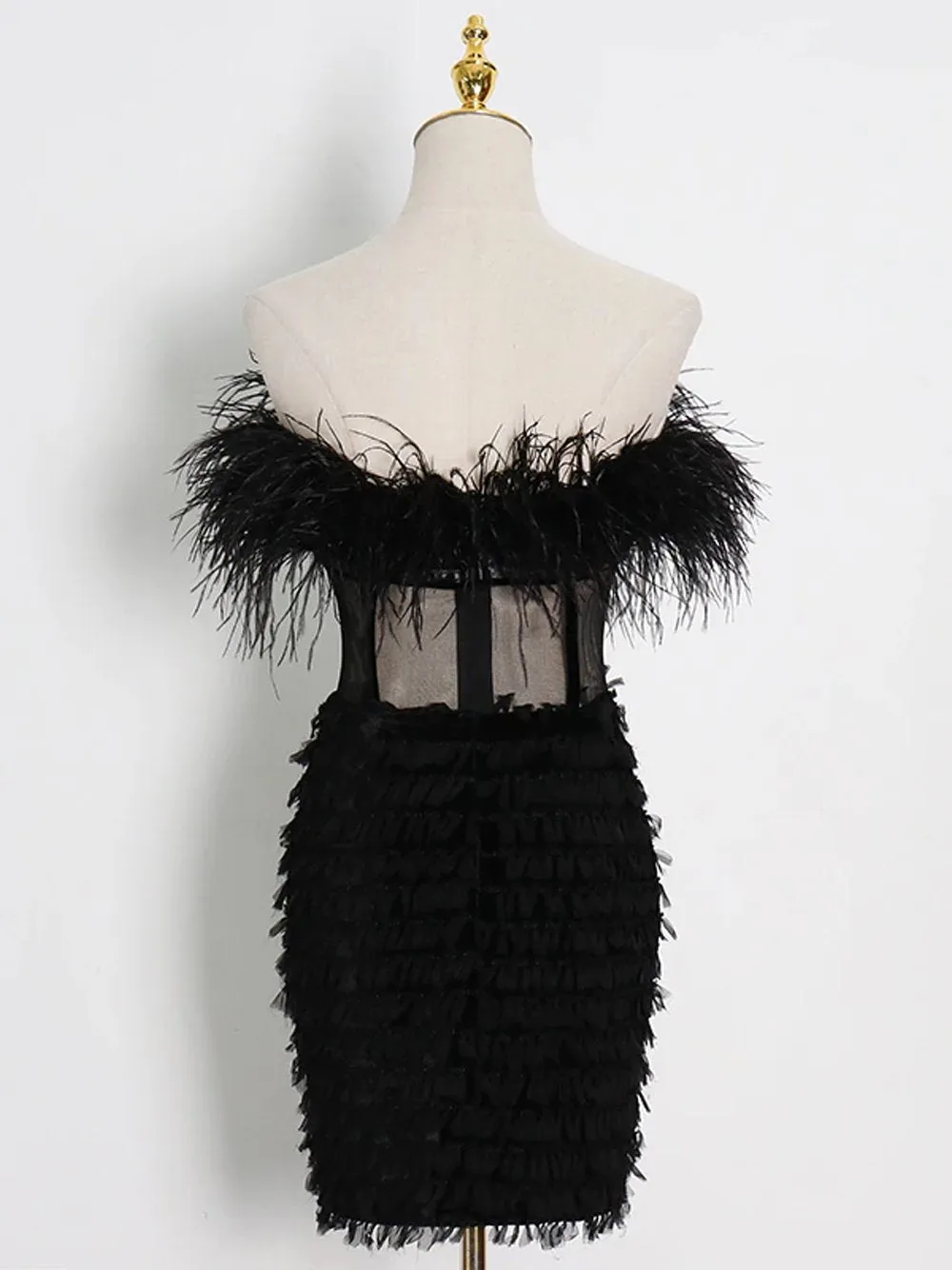 CIERA Feathers Dress