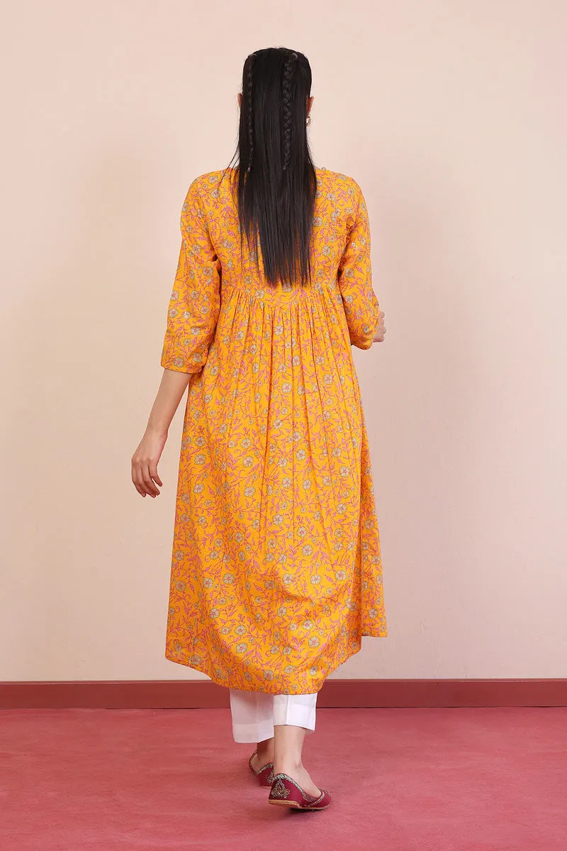 Desi Beat Swan Dress