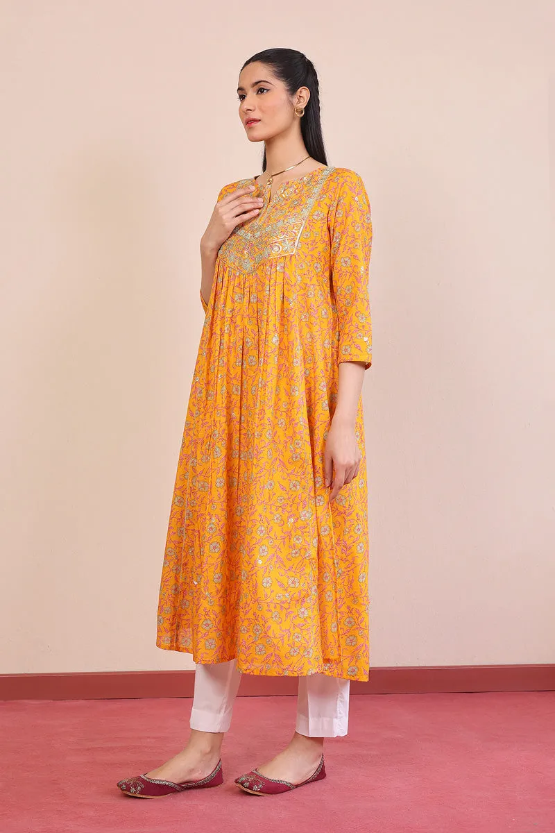 Desi Beat Swan Dress