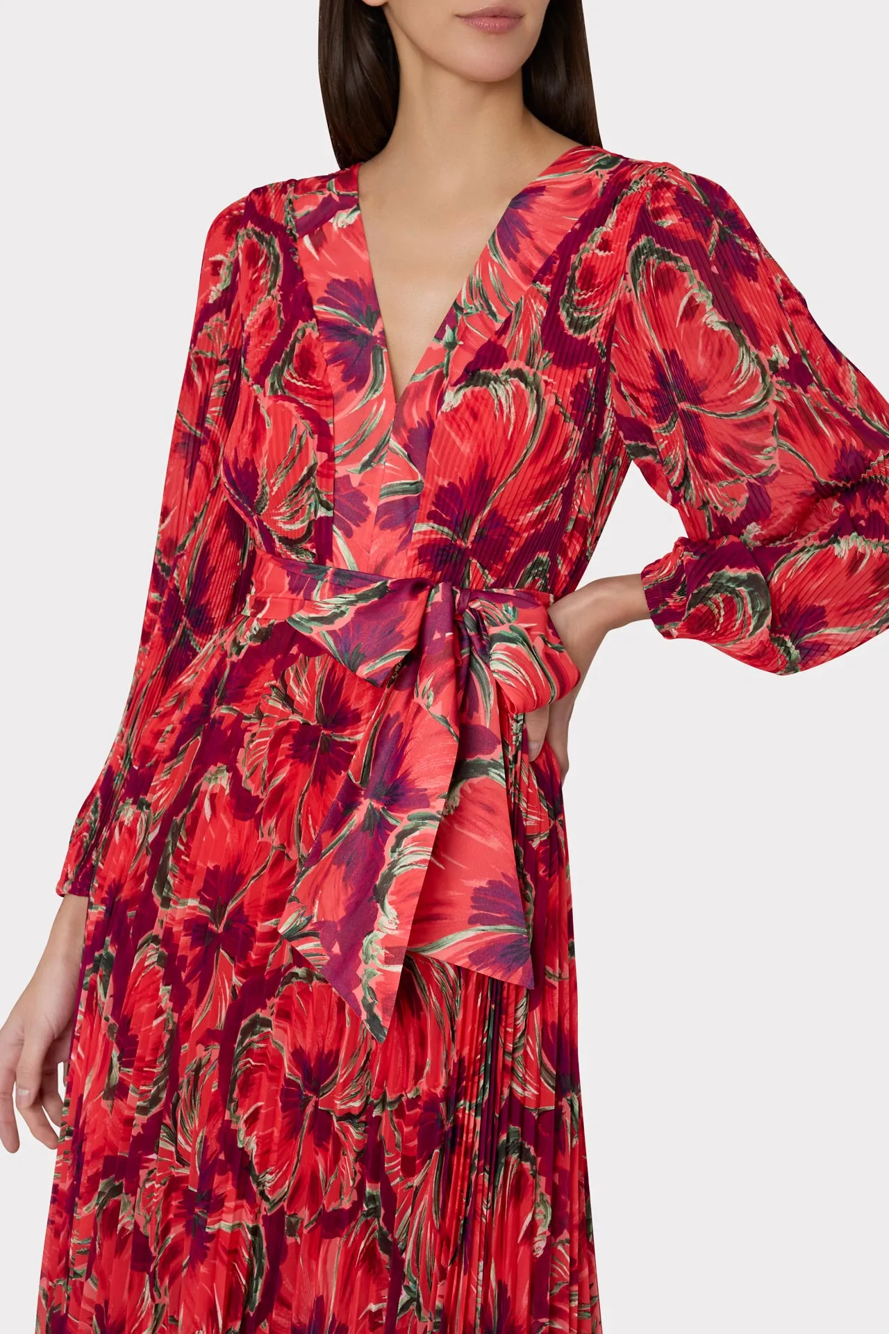 Liora Windmill Floral Pleated Dress